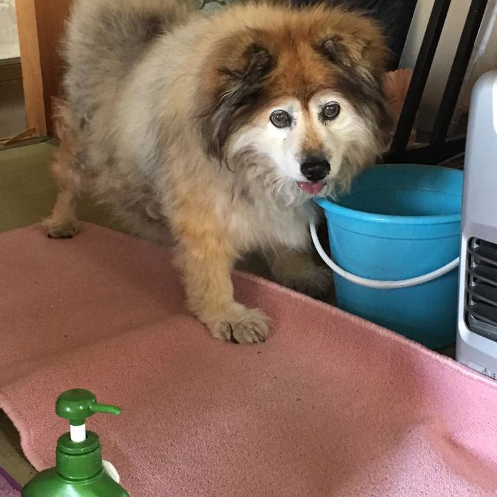 Df91d273 ba5e 4c75 abe4 369fa138cbe4 1560519487616