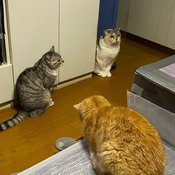 Df91e623 5810 4bb8 a510 329ca25f0fd8 1674141519669