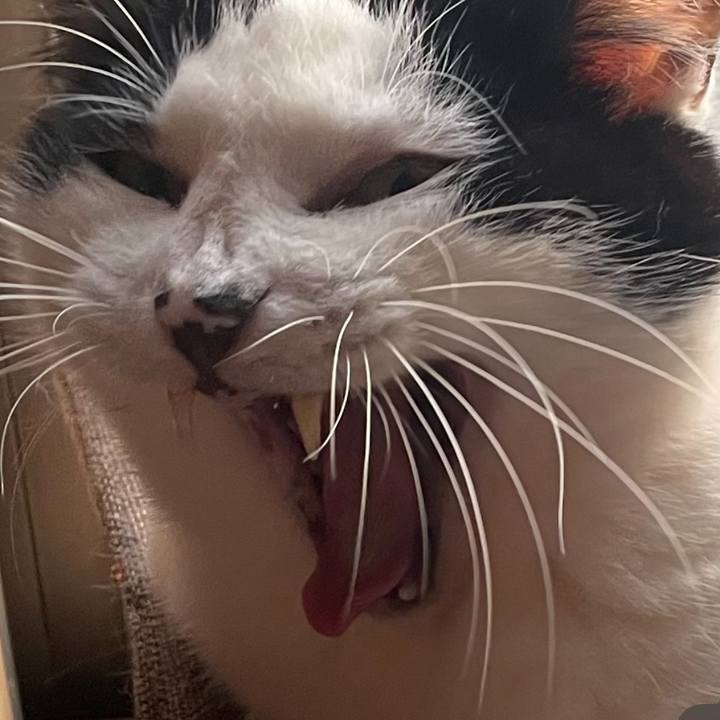 Df91f00c d59e 4420 ac9a 070e36deb649 1743194033703