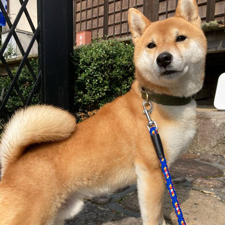 Df91fcd0 c641 4adb 8a48 c9018bf8ea1b 1617862210206