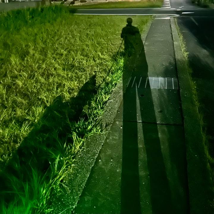 Df920a17 9729 4a87 875f 8ab8cbff2ad7 1722166023576