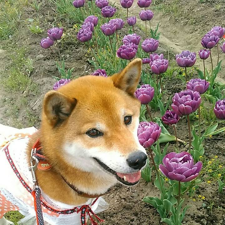 Df921b59 c41e 4ebd 8634 de712586a88a 1555839036897