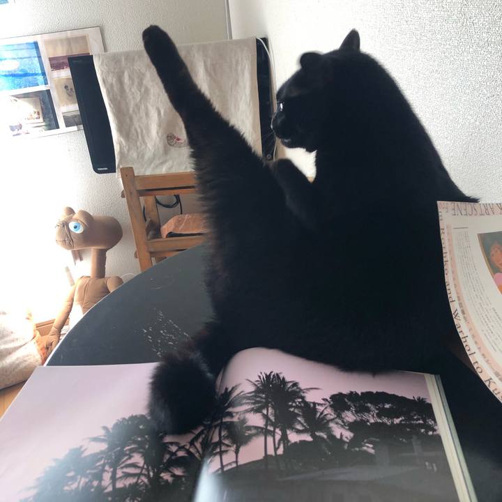 Df921c93 2bdc 480b aa2f 94f286e9759c 1581126532103