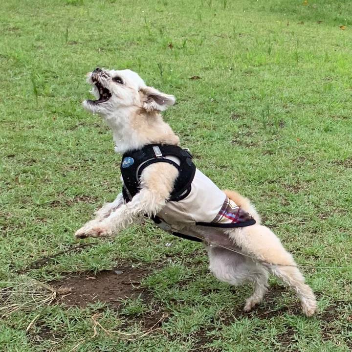 Df925d9d a5d6 4d6e 895b 0147ff0343e9 1566361578779