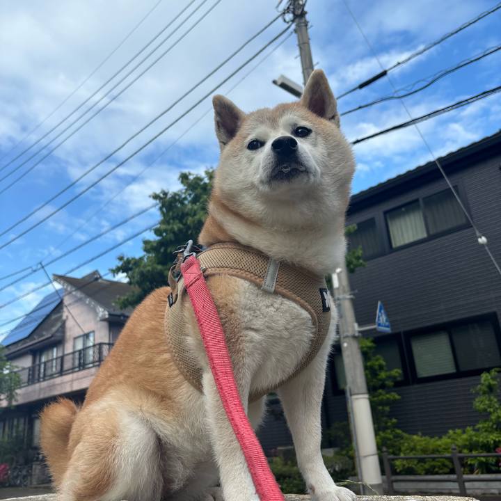 Df926cec df42 4f00 b41b 5e1bab073a9d 1748381182567