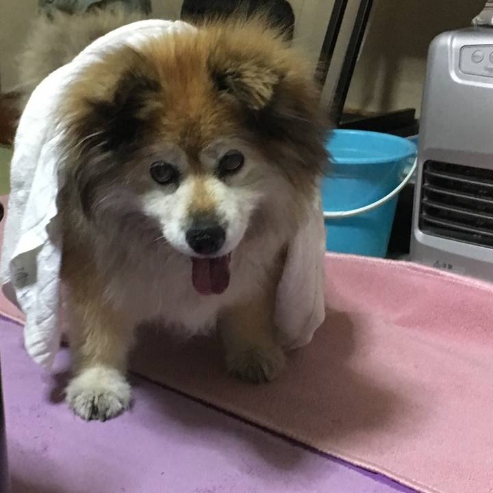 Df92afc4 e473 42cd afa6 b5f81dd36a26 1591751819686