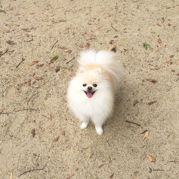 Df92c0c9 9d8b 4c76 bcf8 aacbf38b3afc 1537408089362