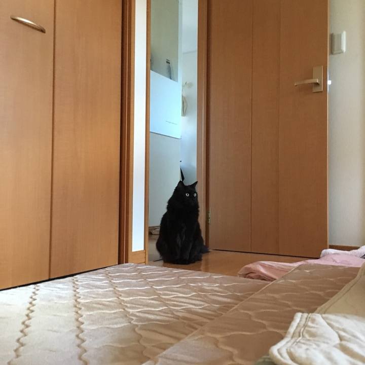 Df92c1f5 e46f 459d 87b2 799b21255c54 1529018675286