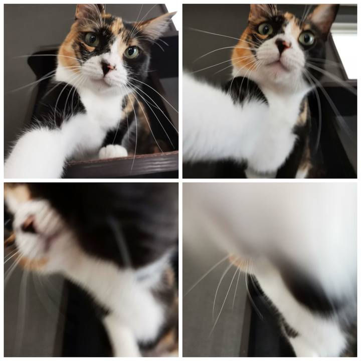 Df92f2df 706b 4c6e 804c 876aa78650cc 1623212249915