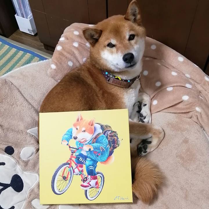 Df92fd60 8ff8 41aa b7cd 32f42da8ad20 1618574553454