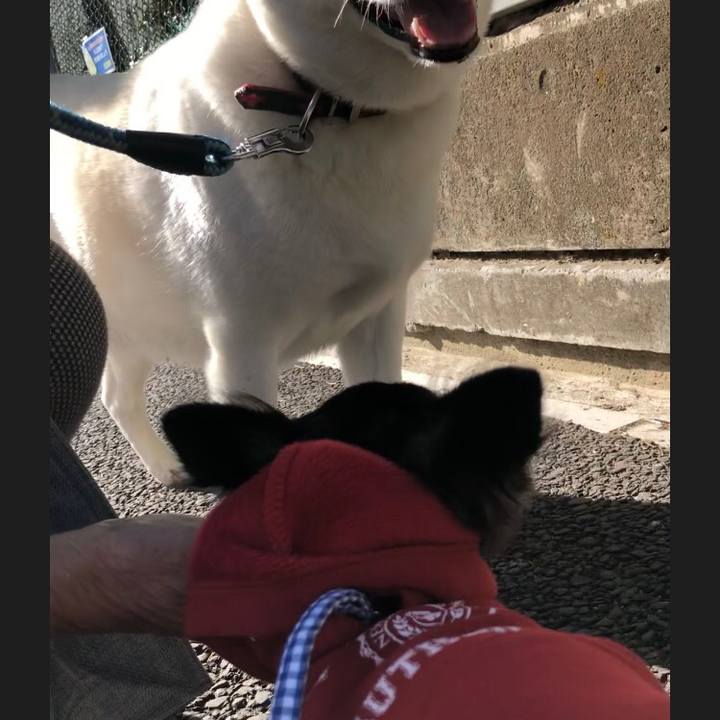 Df9306cd a7ed 4104 9ff9 d505079dbbd0 1542508071551