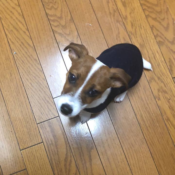 Df9332f4 9160 4eec 8840 6fa079fcfca5 1516152908954