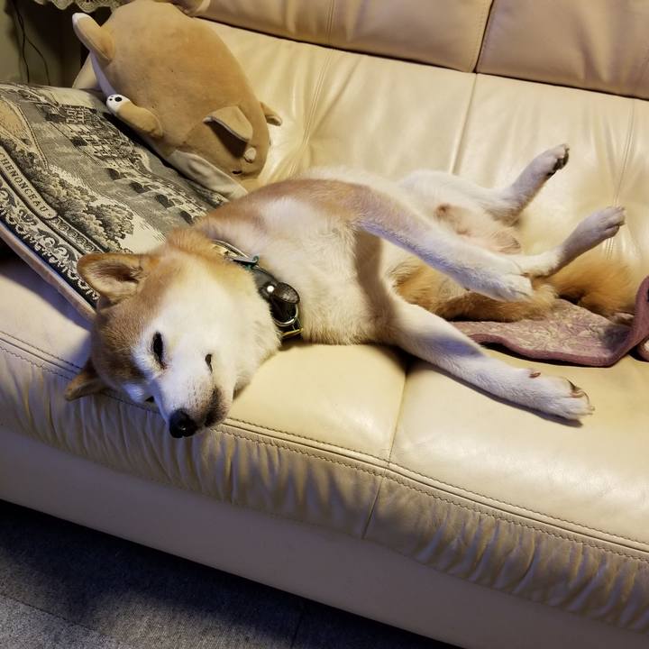 Df935798 ca4c 4c07 a582 b291a9b06f20 1628341243801