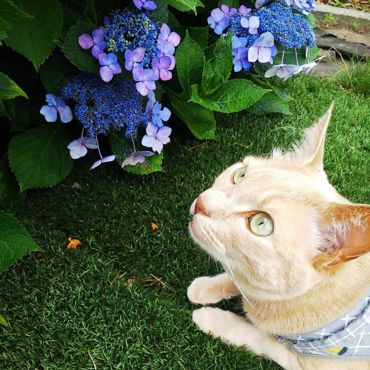 Df93692f 0b1d 41c7 b302 ac1b26c039a1 1690682901694