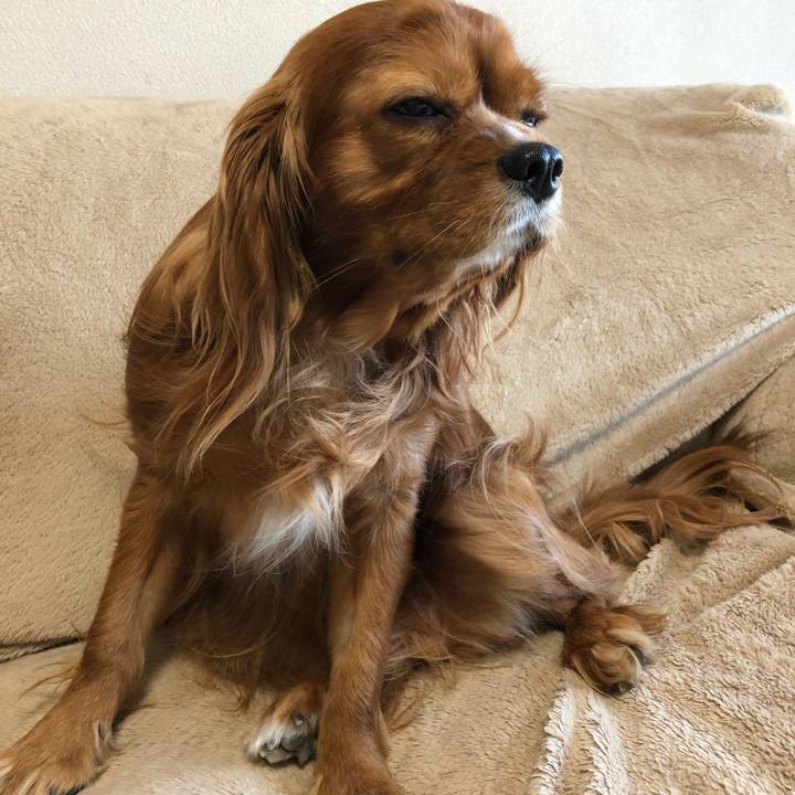 Df938714 5c83 468e 9110 f5fe03f025b2 1586955048252