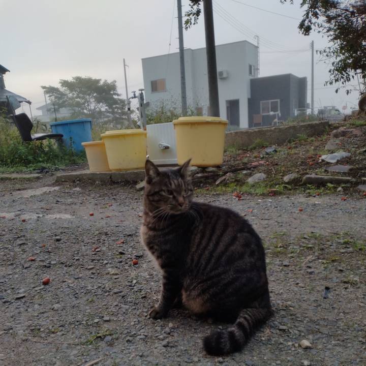 Df938a68 61d9 4e4a 87cc 449ada5e402a 1664660085563