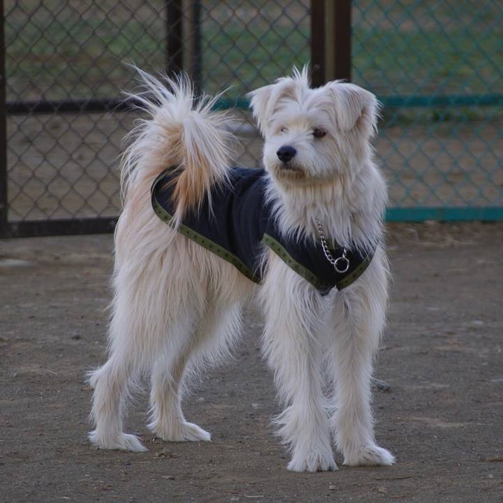 Df94035f 8fde 4c53 ae16 94b82f50d2a2 1652791292977