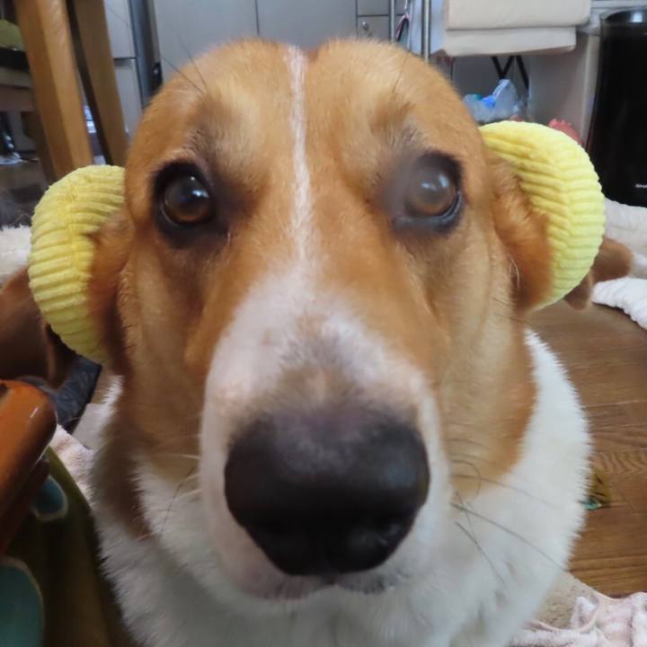 Df9409ba a5ab 4640 aa6b da1b0e3ee170 1655773122246