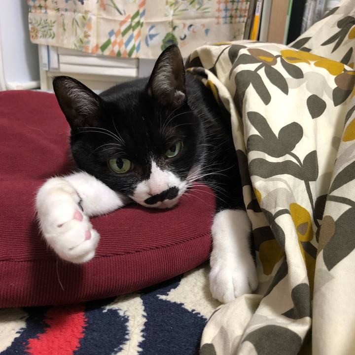 Df940e9b b30d 4376 a9d4 ebf26f4f177e 1578837483433