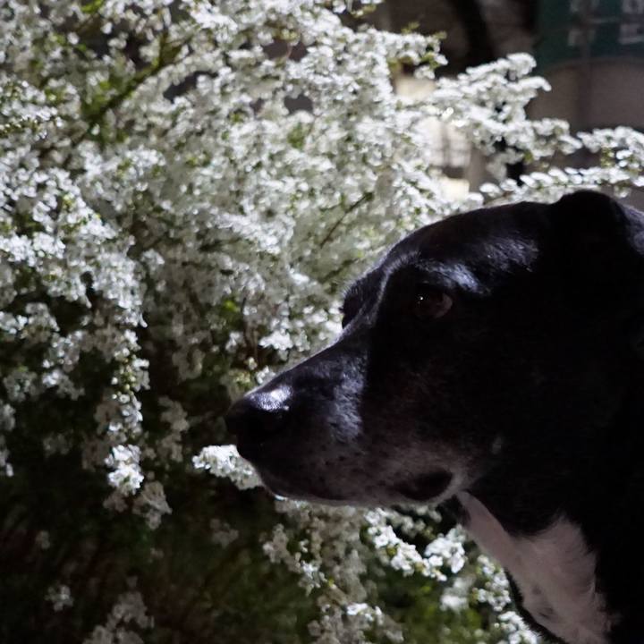 Df94366f 14c4 4702 85eb 136ed41127fb 1773837261660