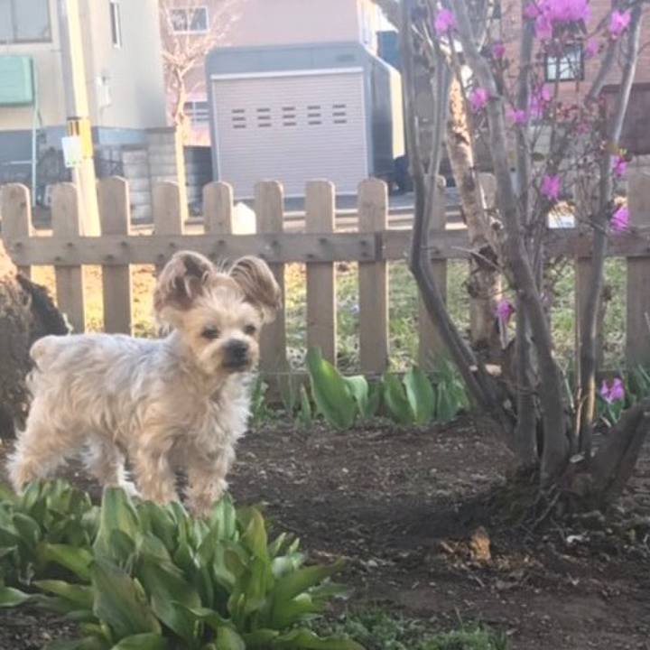 Df94a580 6ab8 40d5 bd4e 59d8def6f65f 1556269035033