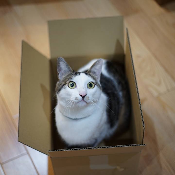 Df957d8f f055 44d2 b521 c922ac043105 1515595755581