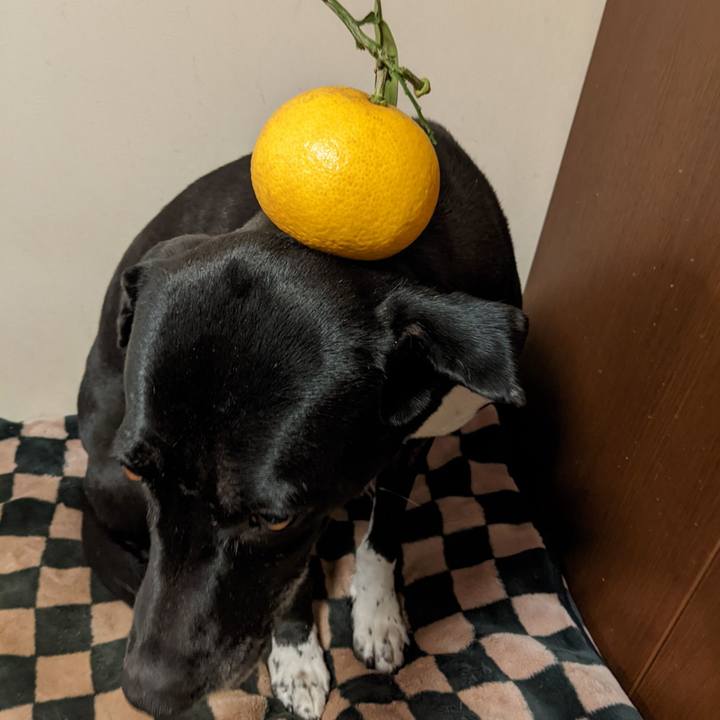 Df959ed2 7393 470b 8d9c 6828afd0b838 1643368262782