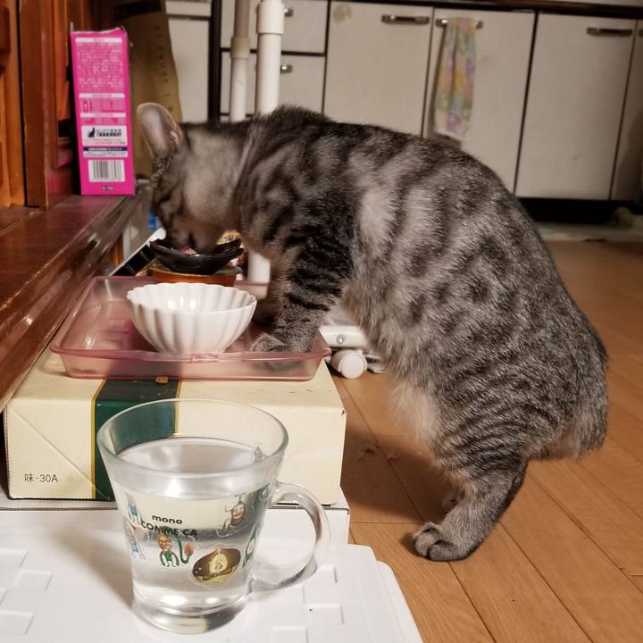 Df95a574 71cc 4d0b 97c0 99f787b72b81 1667570589250