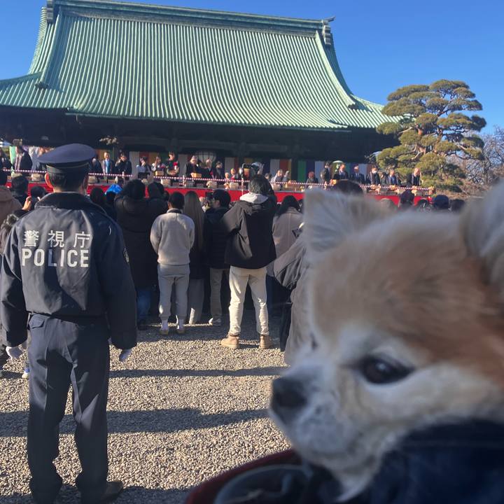 Df95e791 9d1c 4430 9fdf b131c4f3caf0 1770104193374