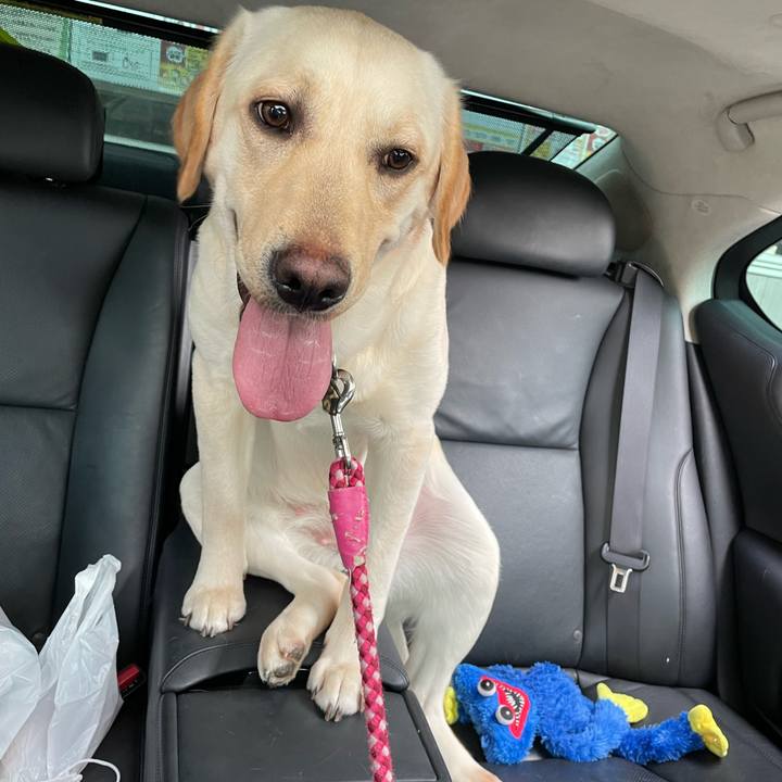 Df961ca3 2386 4fd4 acec ff12de49c95f 1650942433194