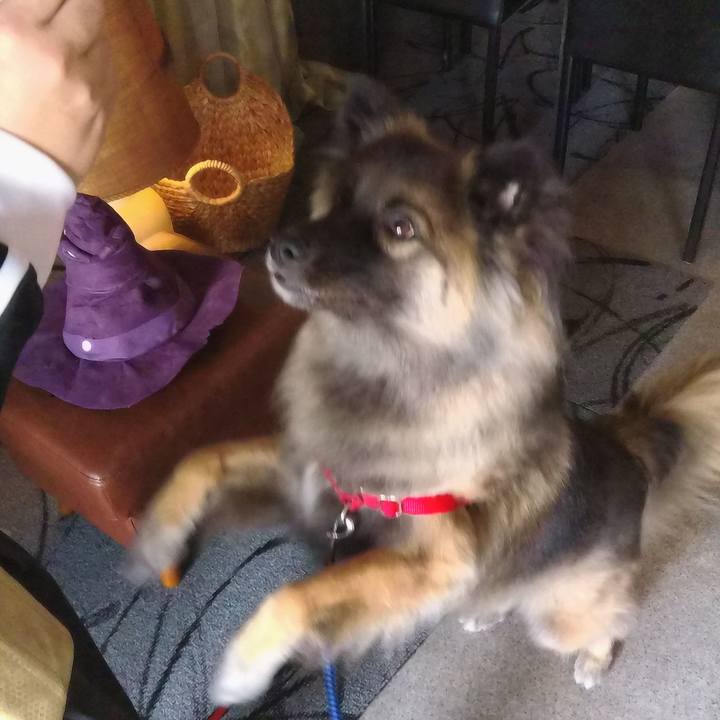 Df96863a 408b 47a0 936a 1c5b9c5b4da6 1760155444166