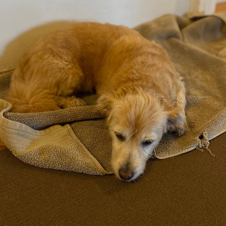 Df96a44f a739 4094 881c 8355ba9c8533 1757567937529