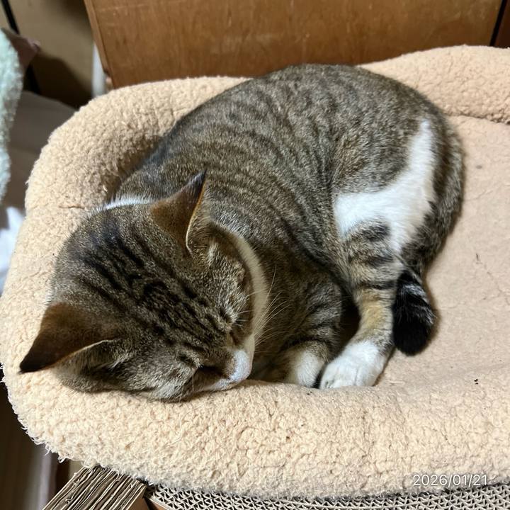 Df96c8e0 1552 4c3e 8011 02fca062b7b6 1768946305915