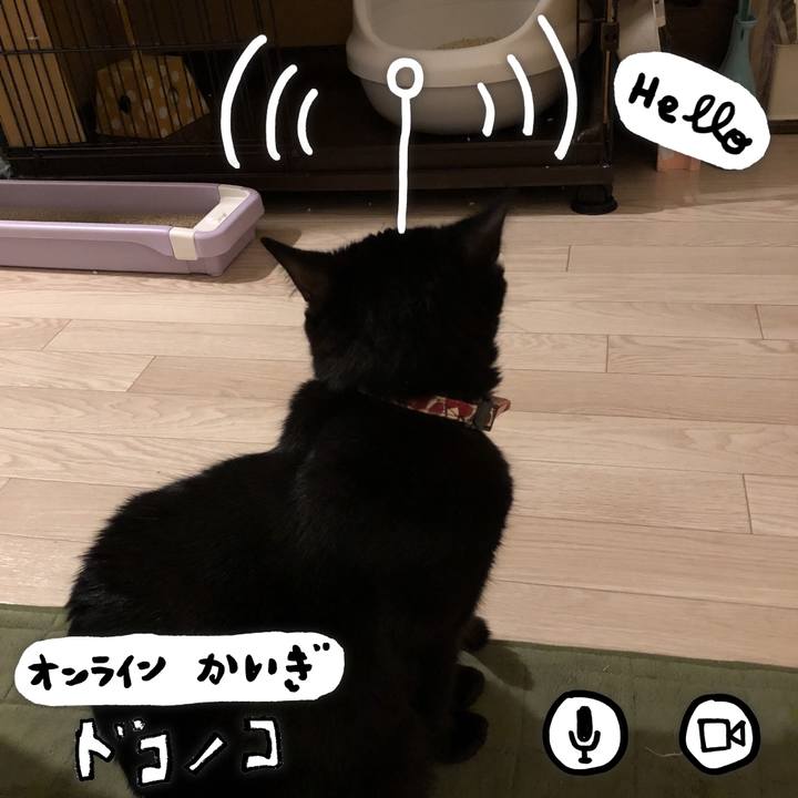 Df96daac 2fa4 47d4 9047 1cd89187c0cc 1590753470796