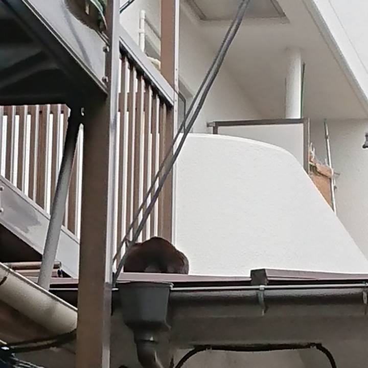 Df96dbd5 63d3 421d 8592 5963aa84fcfb 1635642934639