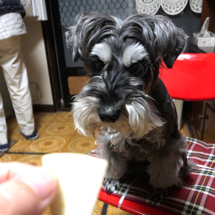 Df96fe1d 09ac 479c b228 f8c8e5056a82 1683091594133