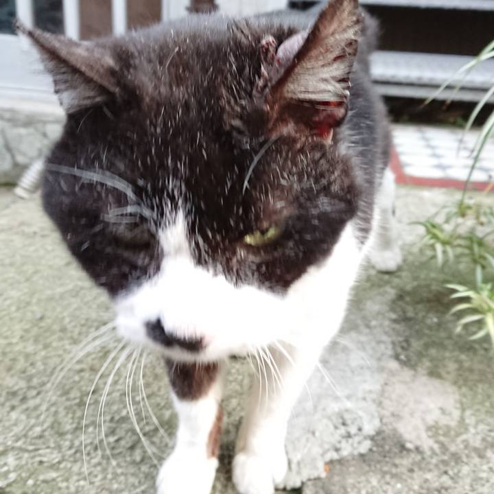 Df972e23 925e 4ca6 9f8a 0033ae68b036 1680605349532