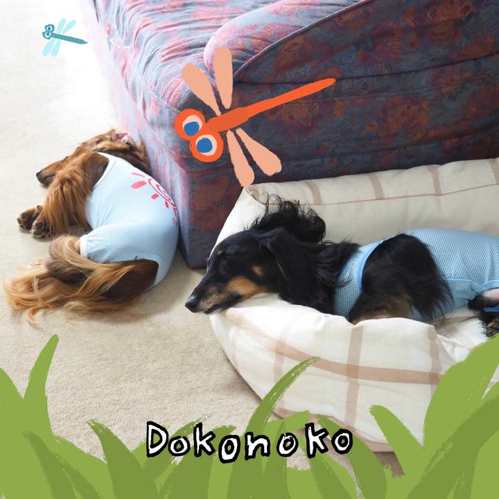 Df973238 e171 4cfe 9d3f 720e09ec1917 1727240764949