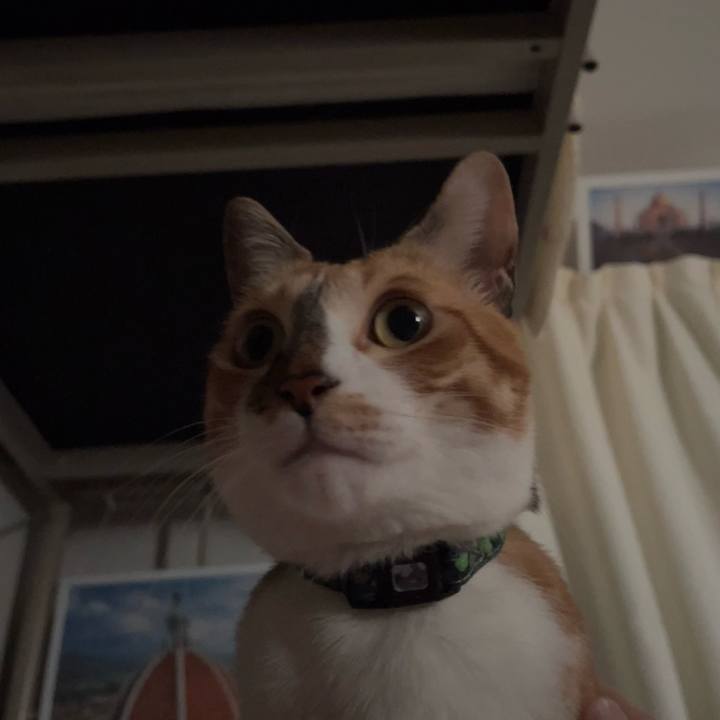 Df976ecf e37e 4327 b483 43429b1579f1 1716503487459