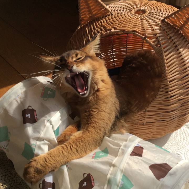 Df977cbe a954 4165 a55d fd6f266ac6ee 1580707302641