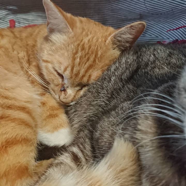 Df97c227 c5be 4f40 9772 7dbc3cd33473 1558769390317