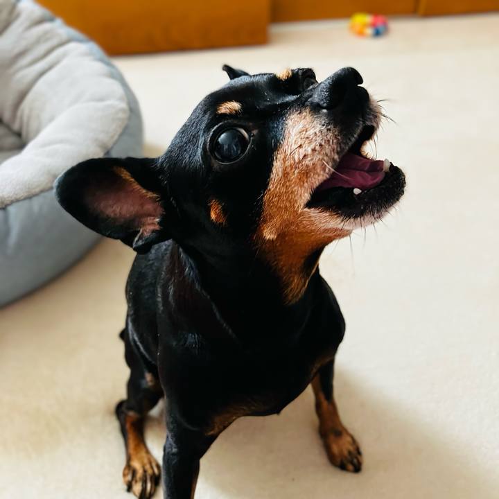 Df97df9b 732a 4d11 ab23 3e97f10c382b 1761778114315