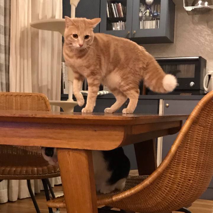 Df97e1e7 c04f 4a20 979c 5d3556966a78 1580656465961