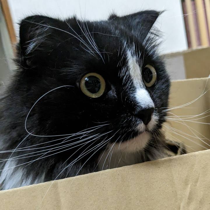 Df97fe9f 2da1 47cf 9470 5e5bd7db7cdb 1684153352214