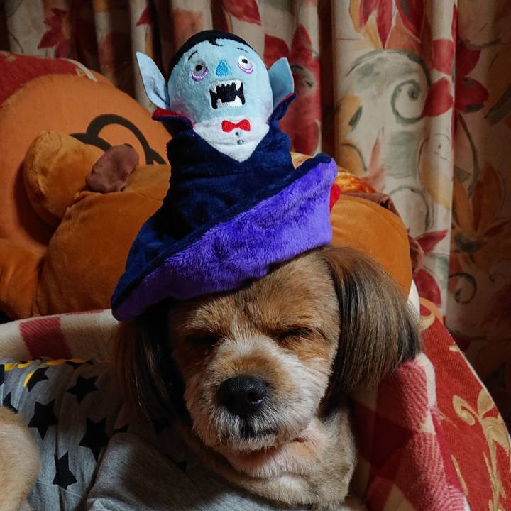 Df980765 f348 4c38 9f85 2304a3a013ba 1573216290666