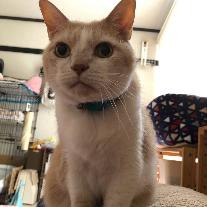 Df980a35 9eef 433d 83db 8ad70cf3ee60 1621463251234