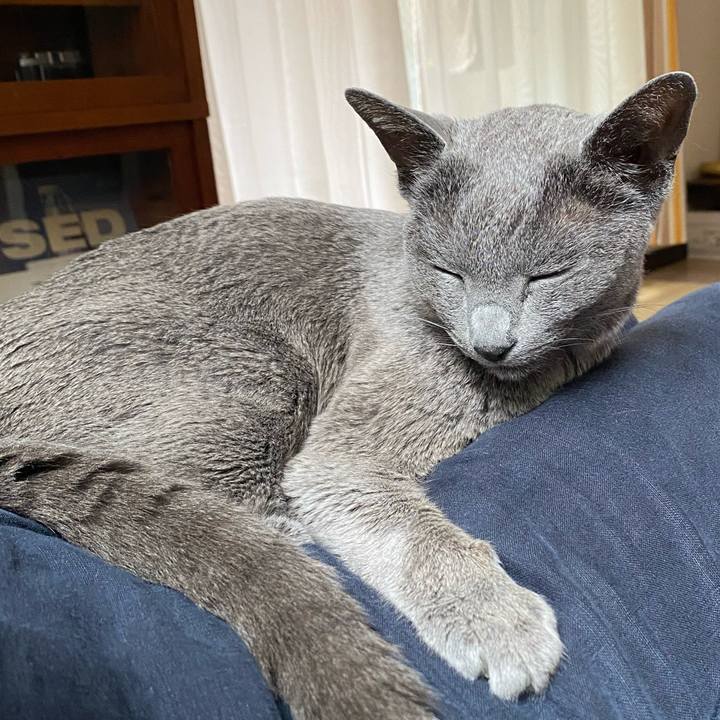 Df980ec1 f10b 499d a041 f0061e4a3818 1623540439308