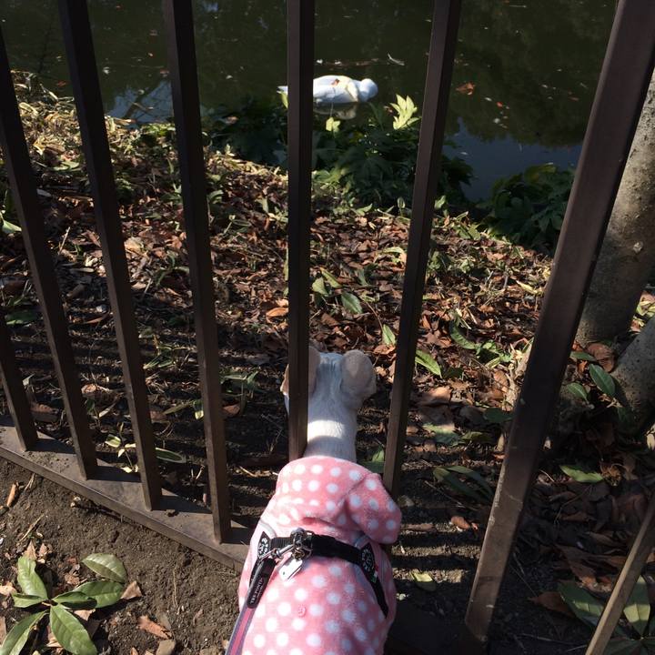 Df987238 b75e 4301 87f0 bbc4352b95d0 1518856677595