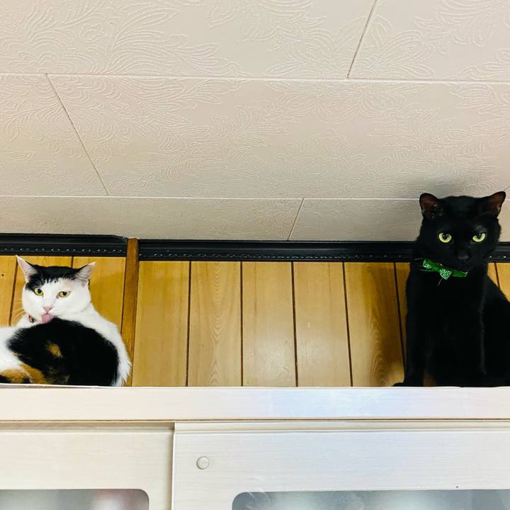 Df9874dc dc71 4899 a3b1 a62673fff018 1663973704434