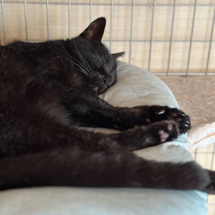 Df98898b 923f 4343 b82f f6497737300b 1695431371830